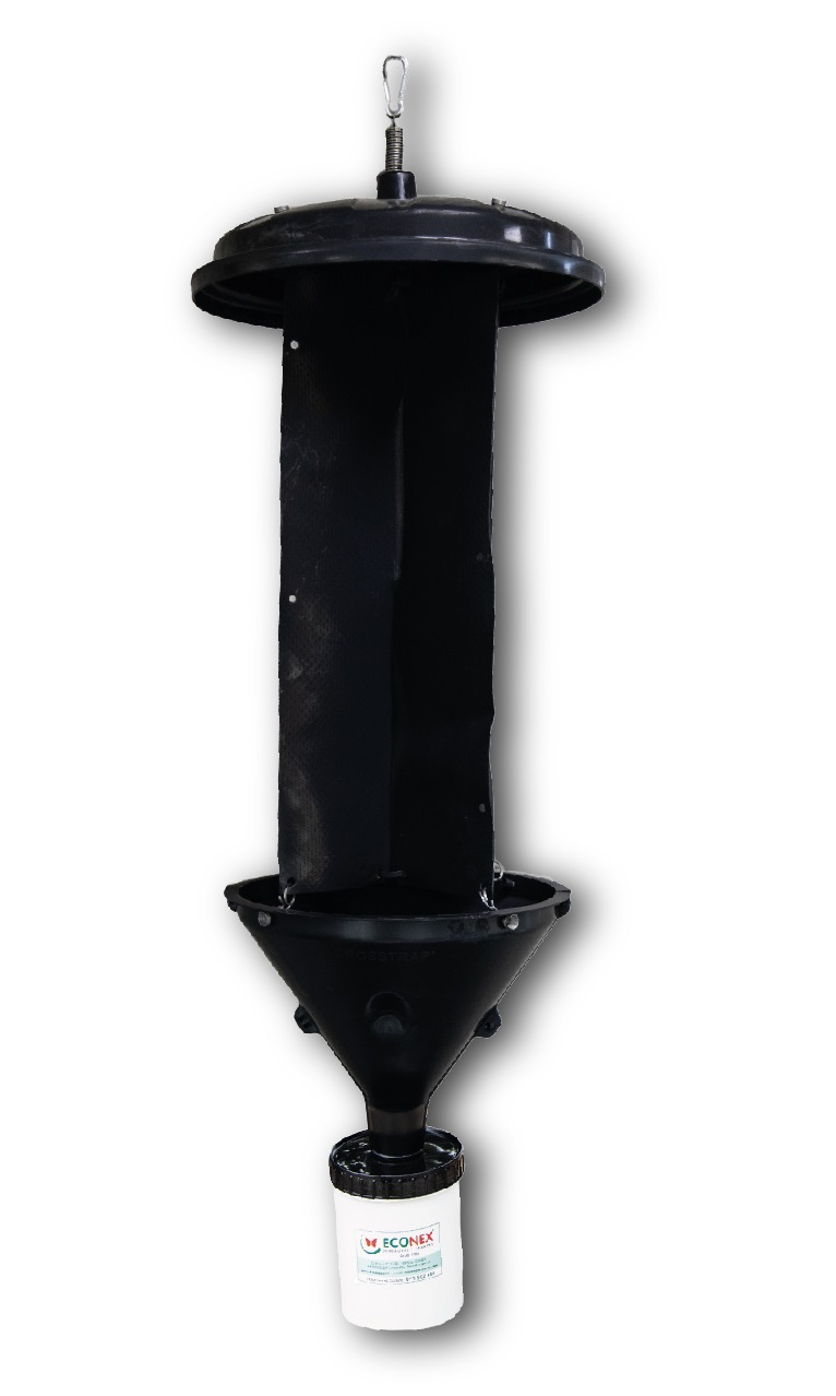 CROSSTRAP MINI COLECTOR SECO 